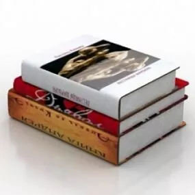 Fat Books 3d model