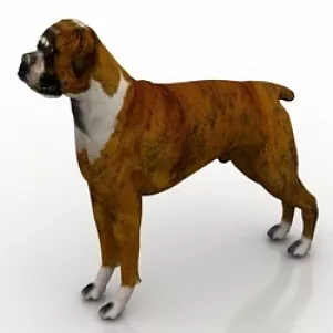 Dog 3d model Dog 3d model