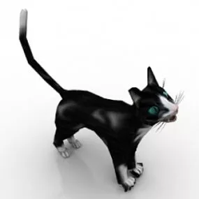 Cat 3d model