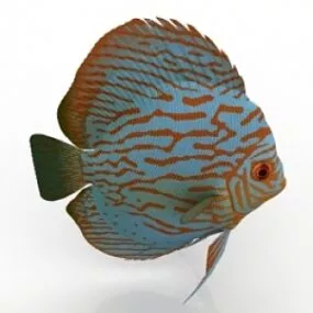 Fish 3d model