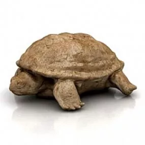 Turtle 3d model