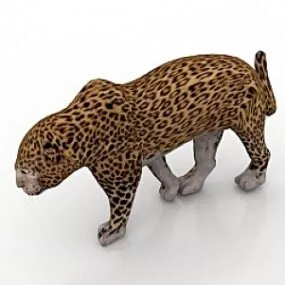 Leopard 3d model