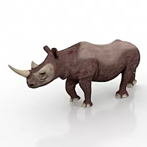 Rhino 3d model Rhino 3d model
