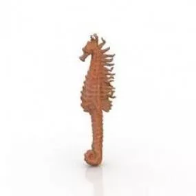 Seahorse 3d model