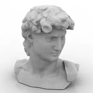 Aged Man Head 3d model