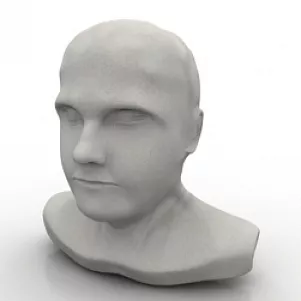 Man Bust 3d model Man Bust 3d model