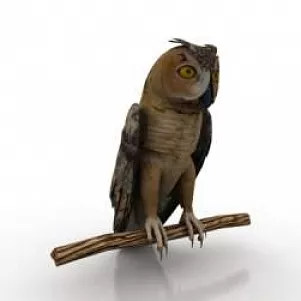 Bird 3d model Bird 3d model