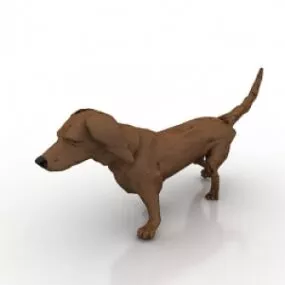 Dog 3d model