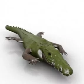 Alligator 3d model