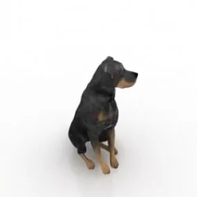 Dog 3d model