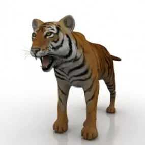 Tiger 3d model