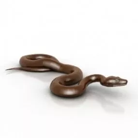 Snake 3d model