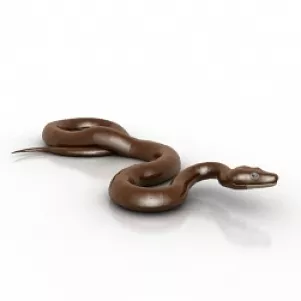 Snake 3d model Snake 3d model