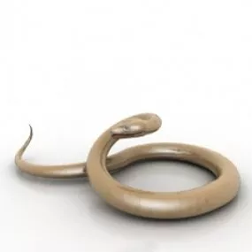 Snake 3d model