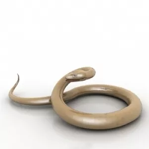 Snake 3d model Snake 3d model