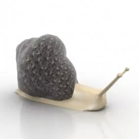 Snail 3d model