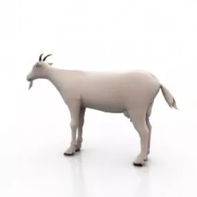 Goat 3d model