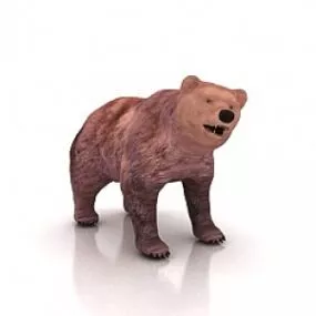 Bear 3d model