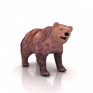 Bear 3d model Bear 3d model