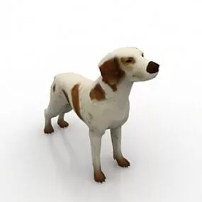 Dog 3d model