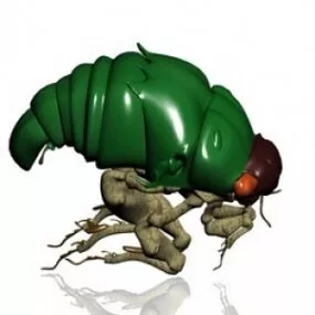 Bug 3d model