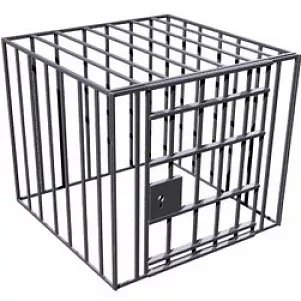 Bird Cage Common Style 3d model