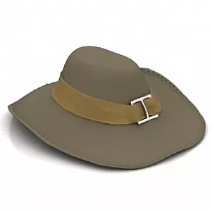 Broad Brim Hat 3d model Broad Brim Hat 3d model