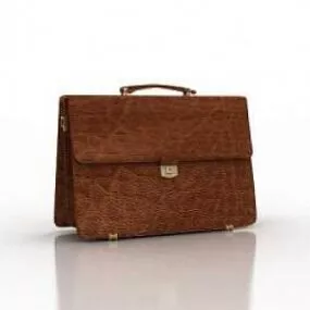 Leather Bag 3d model