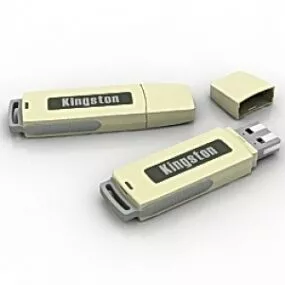 Kingston Flash Card 3d model