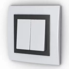 Double Switch 3d model