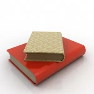 Book Stack Various Sizes With Novel Labels 3d model