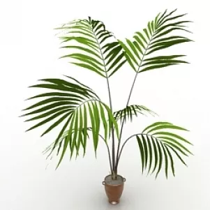 Palm Tree With Forest River 3d model