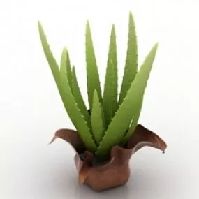 Plant 3d model