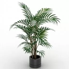 Palm 3d model