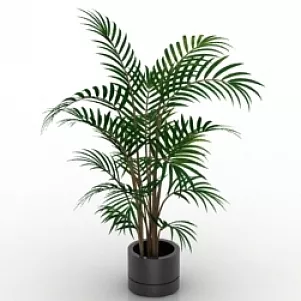 Palm 3d model Palm 3d model