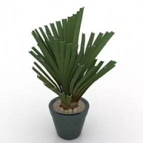 Plant 2 3d model