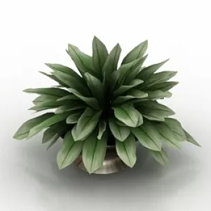 Plant 3d model Plant 3d model