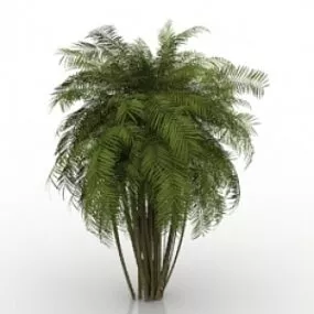 Palm 3d model
