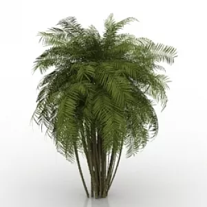 Palm 3d model Palm 3d model