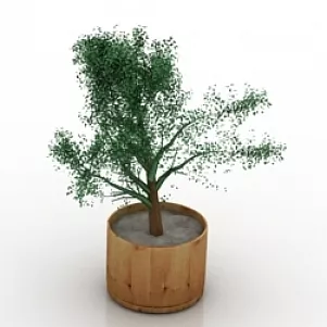 Plant 3d model Plant 3d model