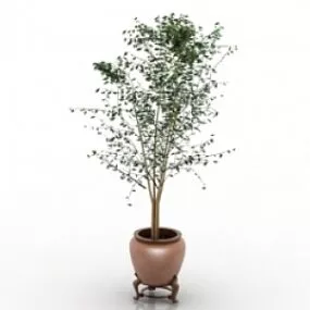 Plant 3d model