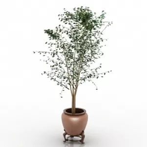 Plant 3d model Plant 3d model