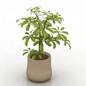 Plant 3d model