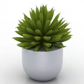Plant 3d model