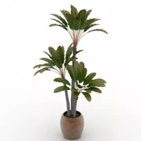 Palm 3d model