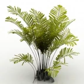 Palm 3d model