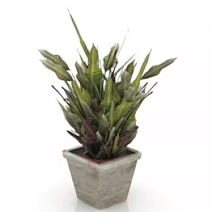 Plant Flower 3d model Plant Flower 3d model