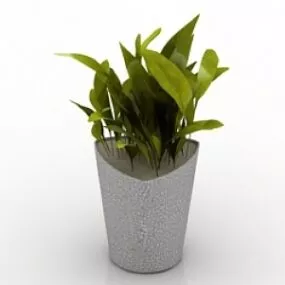 Plant 3d model