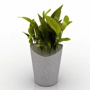 Plant 3d model Plant 3d model