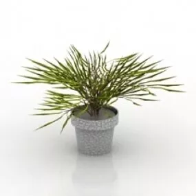 Plant 3d model